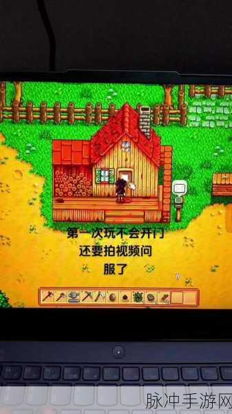 星露谷物语深度攻略，揭秘女巫小屋的进入方法