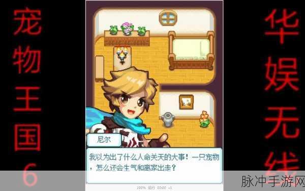 宠物王国6烈火，全面攻略——如何捕捉岩石龙宠物