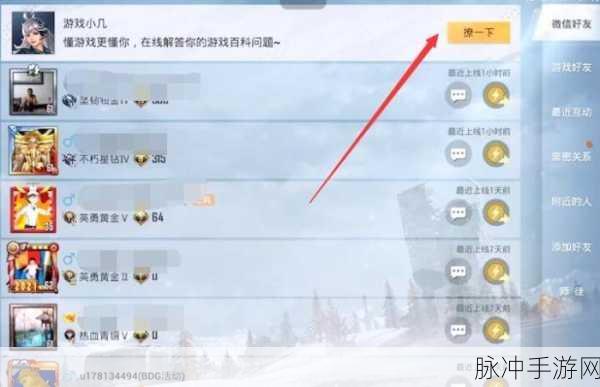 和平精英名字冻结时间的精准查询攻略