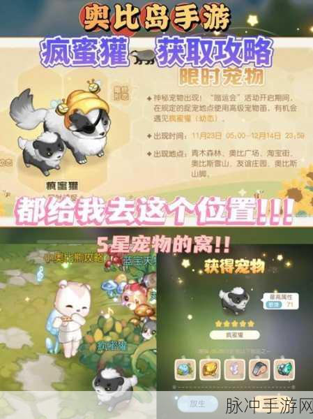奥比岛手游，宠物之家开启秘籍大揭秘