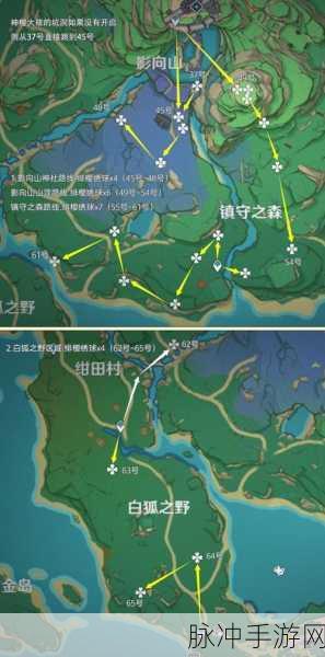 原神绯樱绣球采集全攻略，地点与路线大揭秘