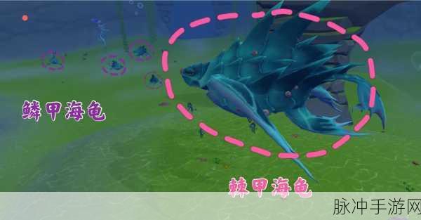 创造与魔法，鳞甲海龟饲料的神秘配方
