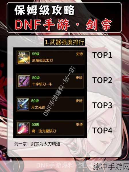 DNF手游剑宗110级装备选择全攻略，剑宗装备搭配推荐