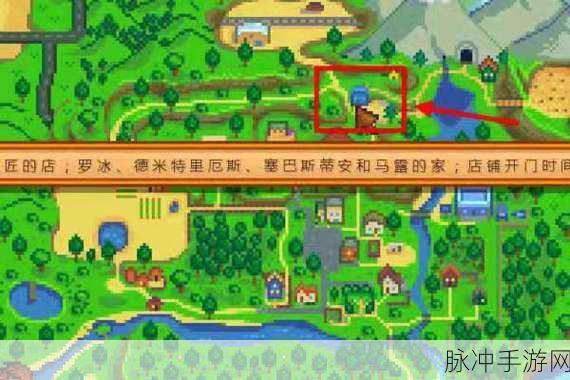 星露谷物语罗宾位置全解析，详细分享攻略