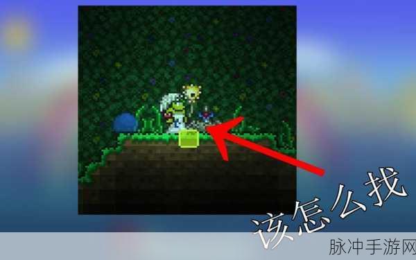 泰拉瑞亚手游，探寻附魔剑冢的神秘所在