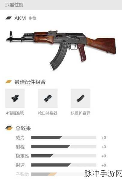 绝地求生,快速扩容弹夹与扩容弹夹的深度对比