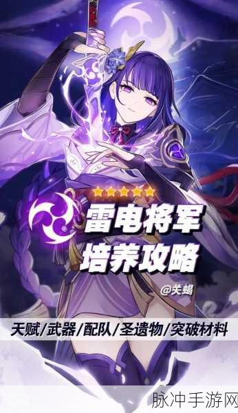 原神深度攻略，混沌回路——雷电将军的突破之选