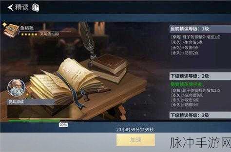 冰原守卫者书籍碎片的秘密与掉落全解析