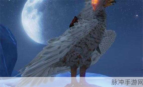妄想山海白翎雕位置全攻略，解锁珍稀飞行宠物的秘密