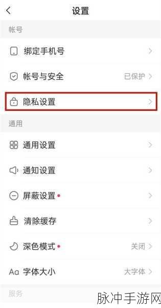 快手极速版评论私信无人回应之谜，是限制还是另有隐情？