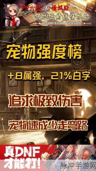 DNF 手游宠物全解析，功能与最佳之选