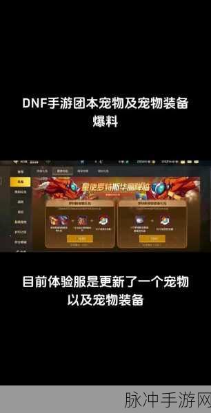 DNF 手游宠物全解析，功能与最佳之选