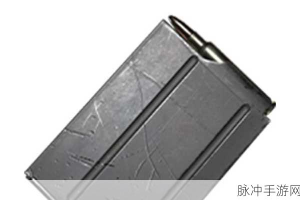 绝地求生手游，快速扩容弹夹全面解析与属性深度介绍