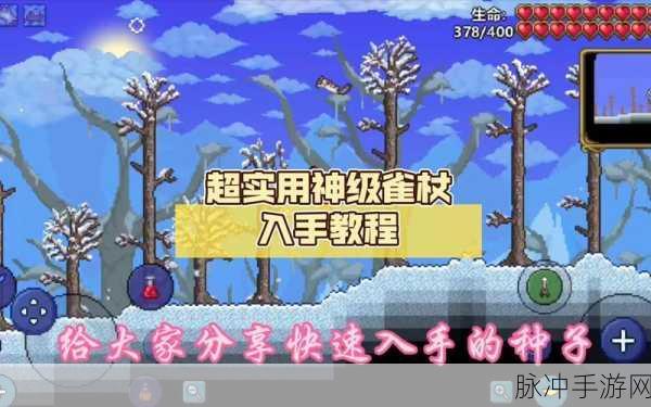 泰拉瑞亚探秘，解锁雀杖的神奇力量与奥秘