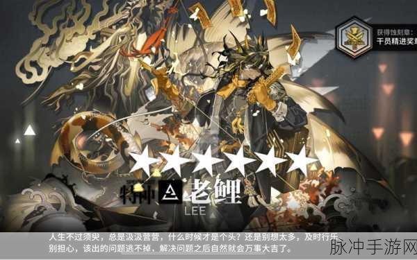 FGO国服石头号被封几率深度解析与攻略建议