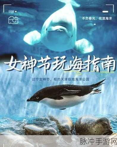 探索海洋奥秘，揭秘存在最久的海洋哺乳生物与手游奇妙联动