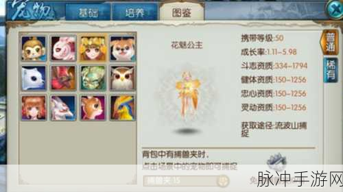 诛仙手游中隐藏美人任务的触发秘籍与攻略全解