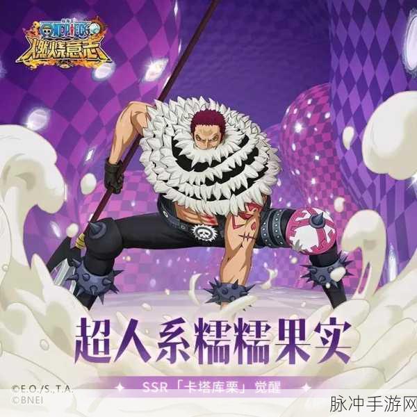 航海王，燃烧意志SSR角色强度解析——谁才是最强之选？