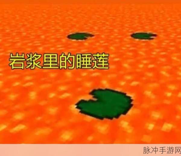 我的世界睡莲成长攻略与实用功能详解