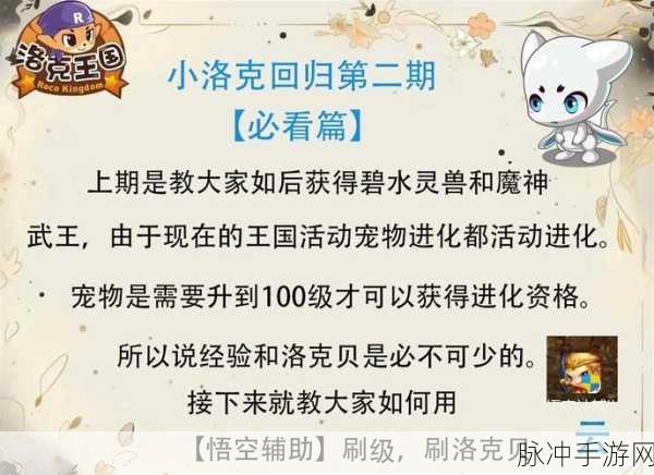 洛克王国手游攻略，深入探索修理大考验的进入与挑战