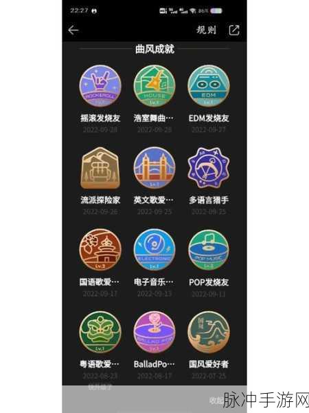 探索QQ勋章墙的奇妙世界，手游玩家的荣耀展示地