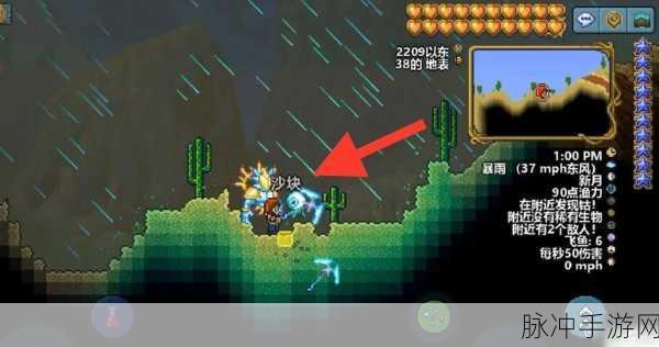 泰拉瑞亚手游，深度剖析沙漠地形的奥秘