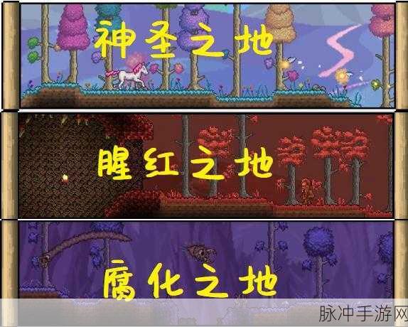 泰拉瑞亚手游，深度剖析沙漠地形的奥秘