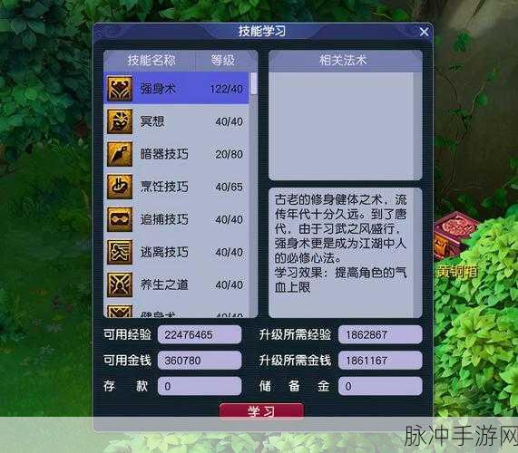 梦幻西游坐骑技能选择全攻略，哪些技能值得优先学习