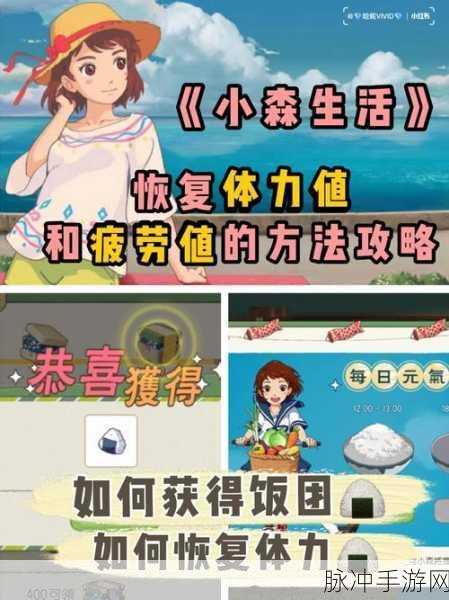 小森生活疲劳值恢复全攻略，畅玩无忧