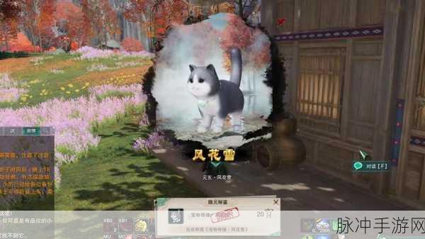 剑网3详细攻略，风花雪宠物奇遇触发全流程指南与技巧深度解析