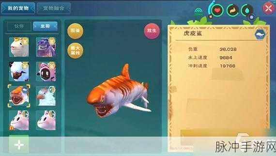 创造与魔法，轻松搞定鲨鱼捕捉秘籍
