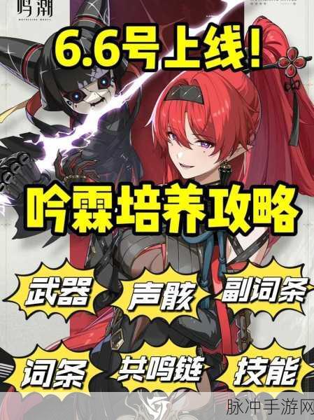 鸣潮手游，优先培养角色推荐及深度攻略