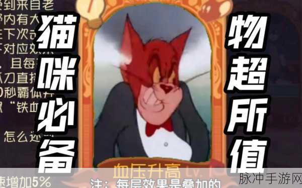 猫和老鼠手游攻略，黑猫与布奇知识卡精选指南