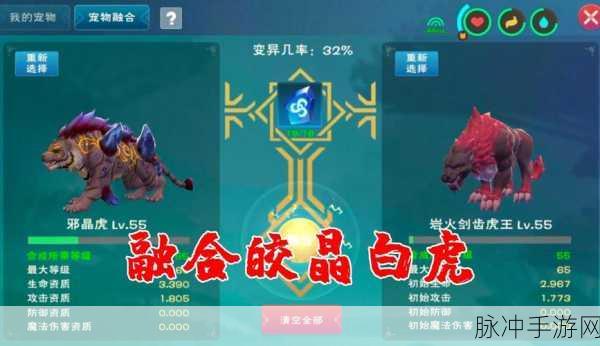 创造与魔法，皎金白虎进阶的深度剖析