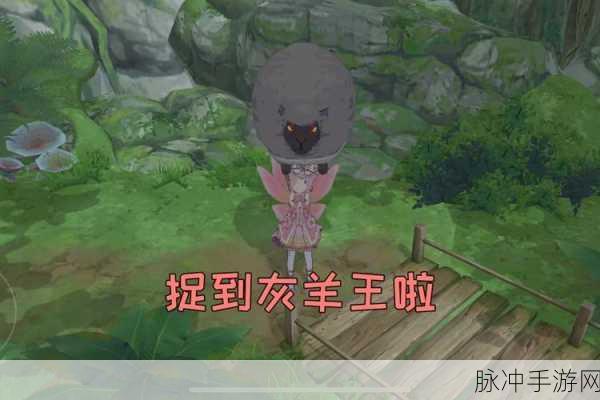 小森生活灰羊王出现时光攻略，解锁晴日密林的神秘王者