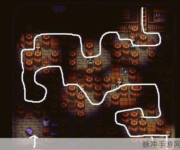 星露谷物语，探索文森特家的神秘位置