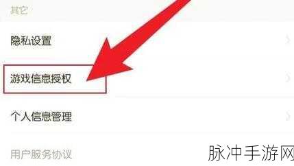 DNF 助手，轻松隐藏角色信息全攻略