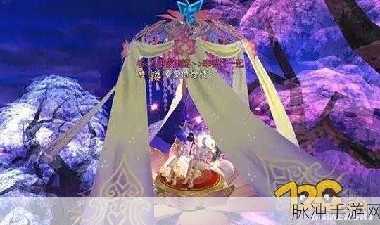 诛仙手游花嫁攻略，揭秘提升好感度的秘密武器