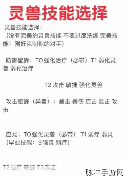 寻道大千灵兽选择全攻略，打造你的专属灵兽伙伴