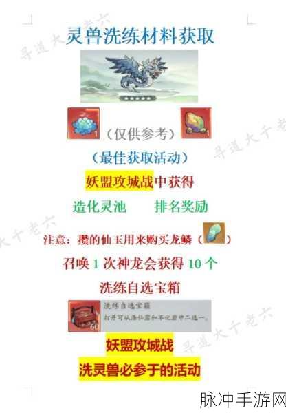 寻道大千灵兽选择全攻略，打造你的专属灵兽伙伴