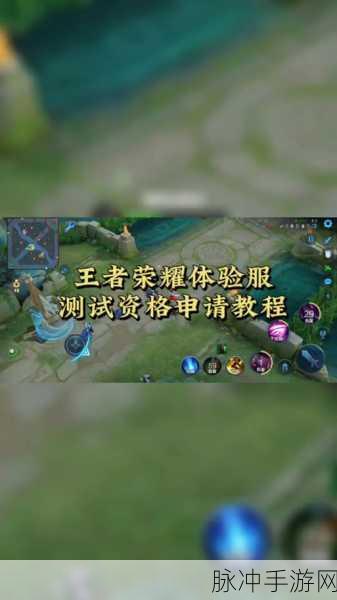 王者荣耀体验服资格申请成功后的玩法攻略深度解析