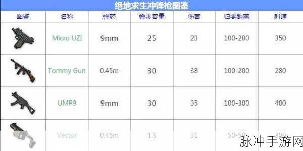 绝地求生步枪快速扩容弹夹，提升战斗力的关键配件