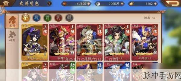 少年三国志，吴国阵容搭配与强势武将解析