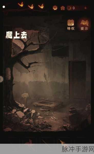 纸嫁衣 5 无间梦境木偶线全攻略指南