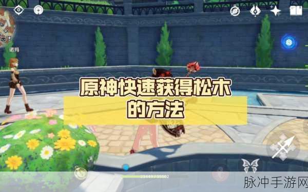 原神，松木采集与红染料获取全攻略 2022