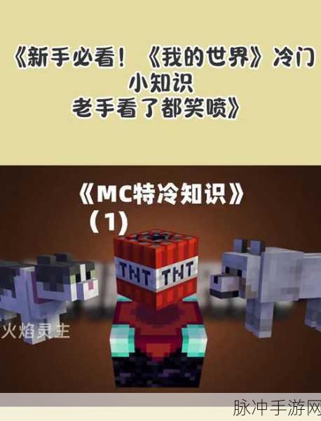我的世界，八大冷门知识点，你知晓几个？