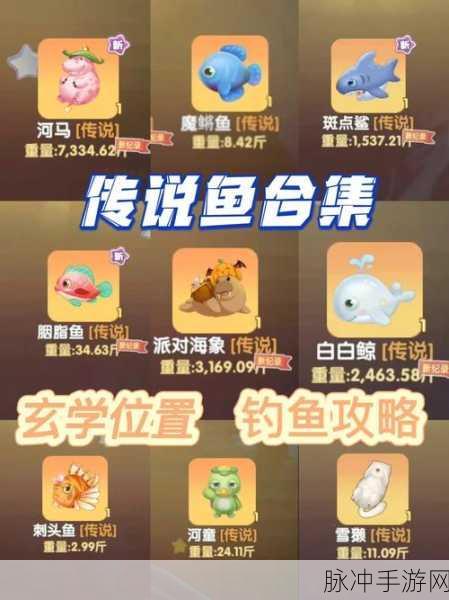 摩尔庄园手游鳗鱼获得全攻略，解锁神秘湖的夜晚宝藏