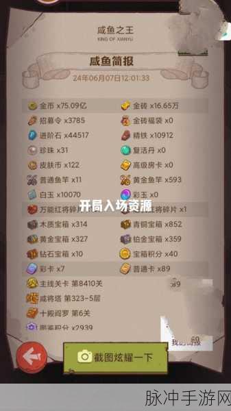 全面解析，咸鱼之王94-10塔通关攻略秘籍