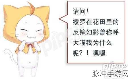 奇迹暖暖第九章全攻略，解锁高分秘籍，轻松通关
