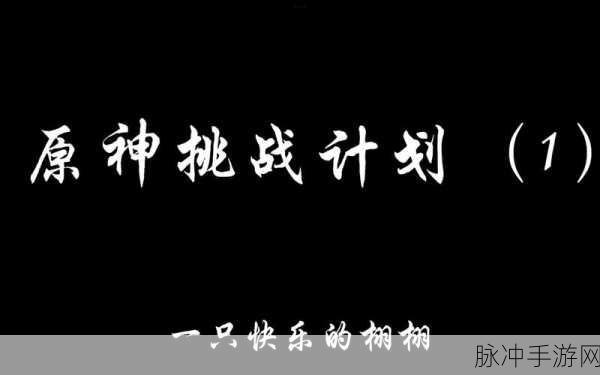 原神奔霆腾闪挑战全攻略，解锁速度与激情的极致体验